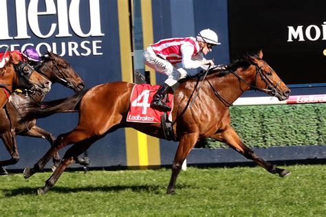 randwick guineas field